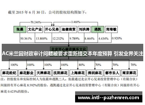 AC米兰因财政审计问题被要求重新提交本年度预算 引发业界关注